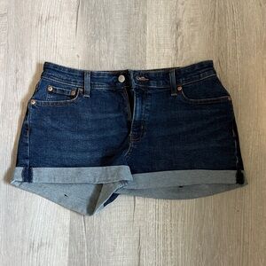 Denizen from Levi's Indigo Jean Shorts